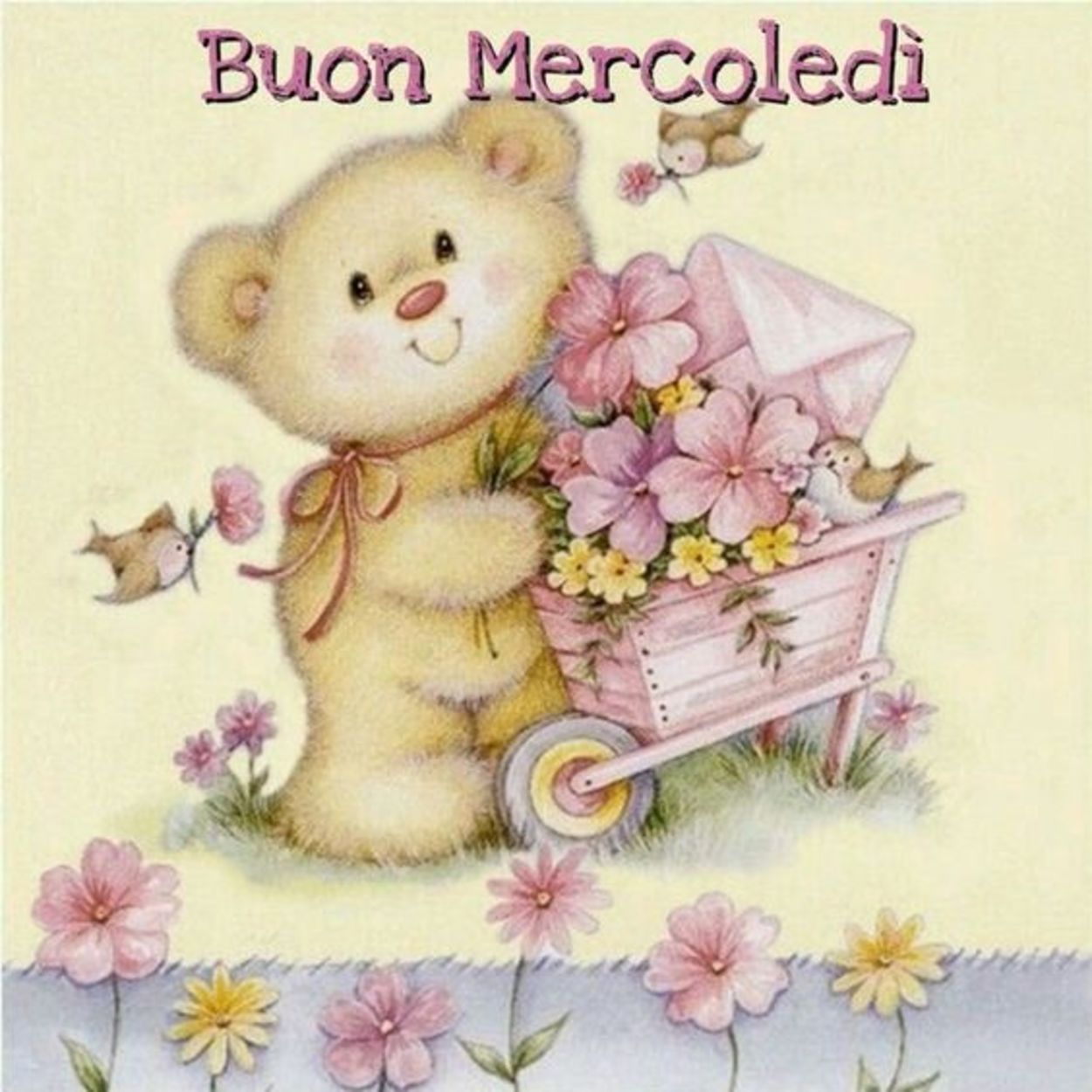 Dolce buon mercoledì immagini