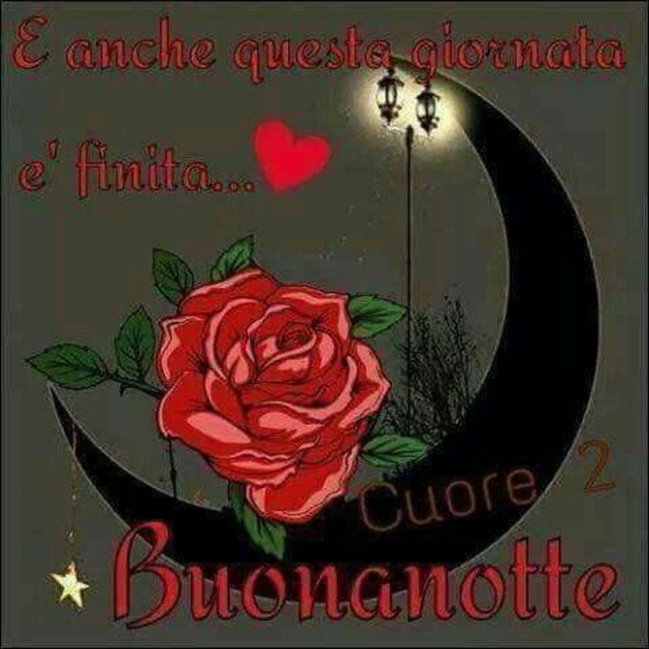 Dolce notte amici (4)