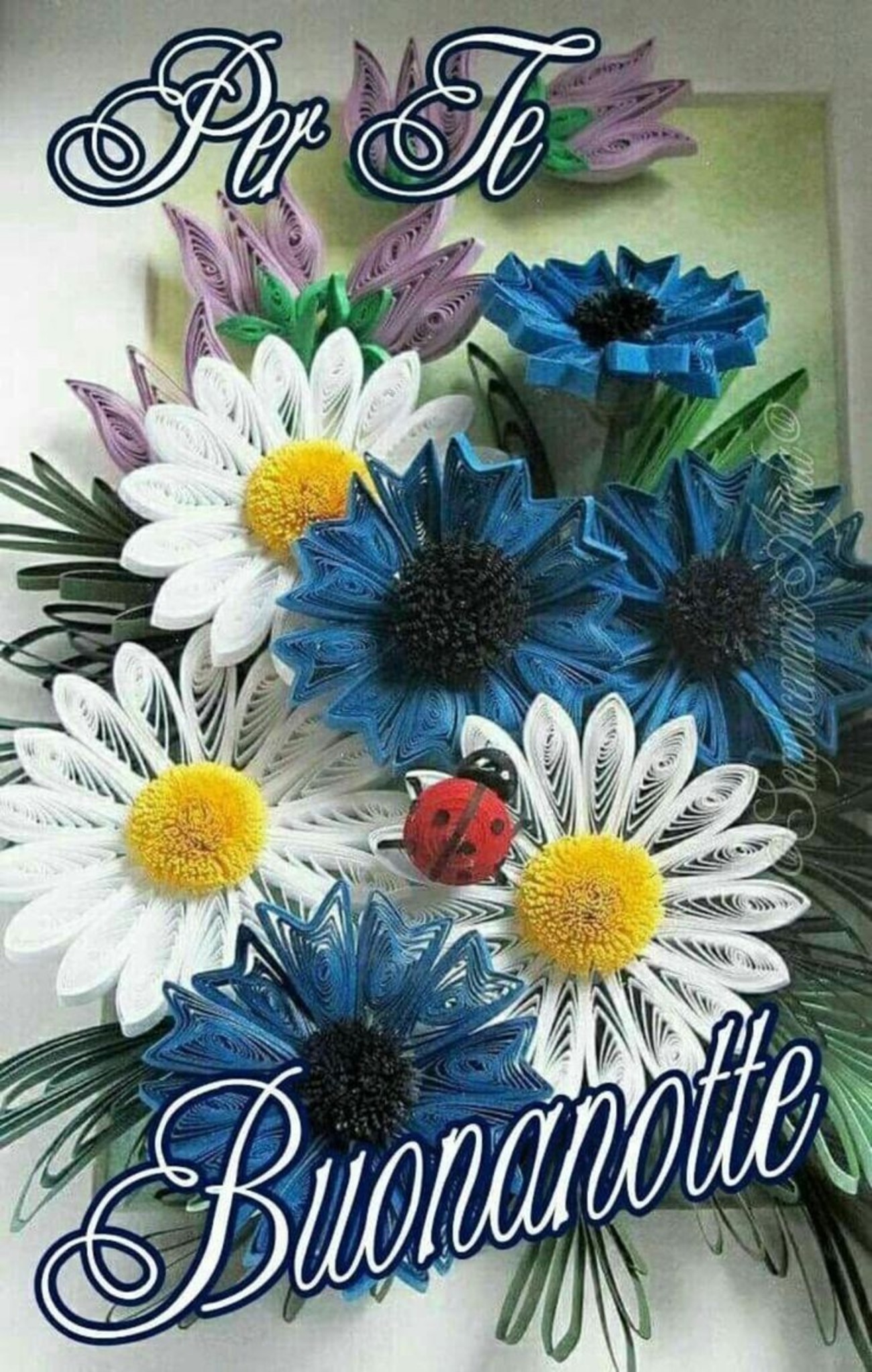 Dolce notte amici (6)