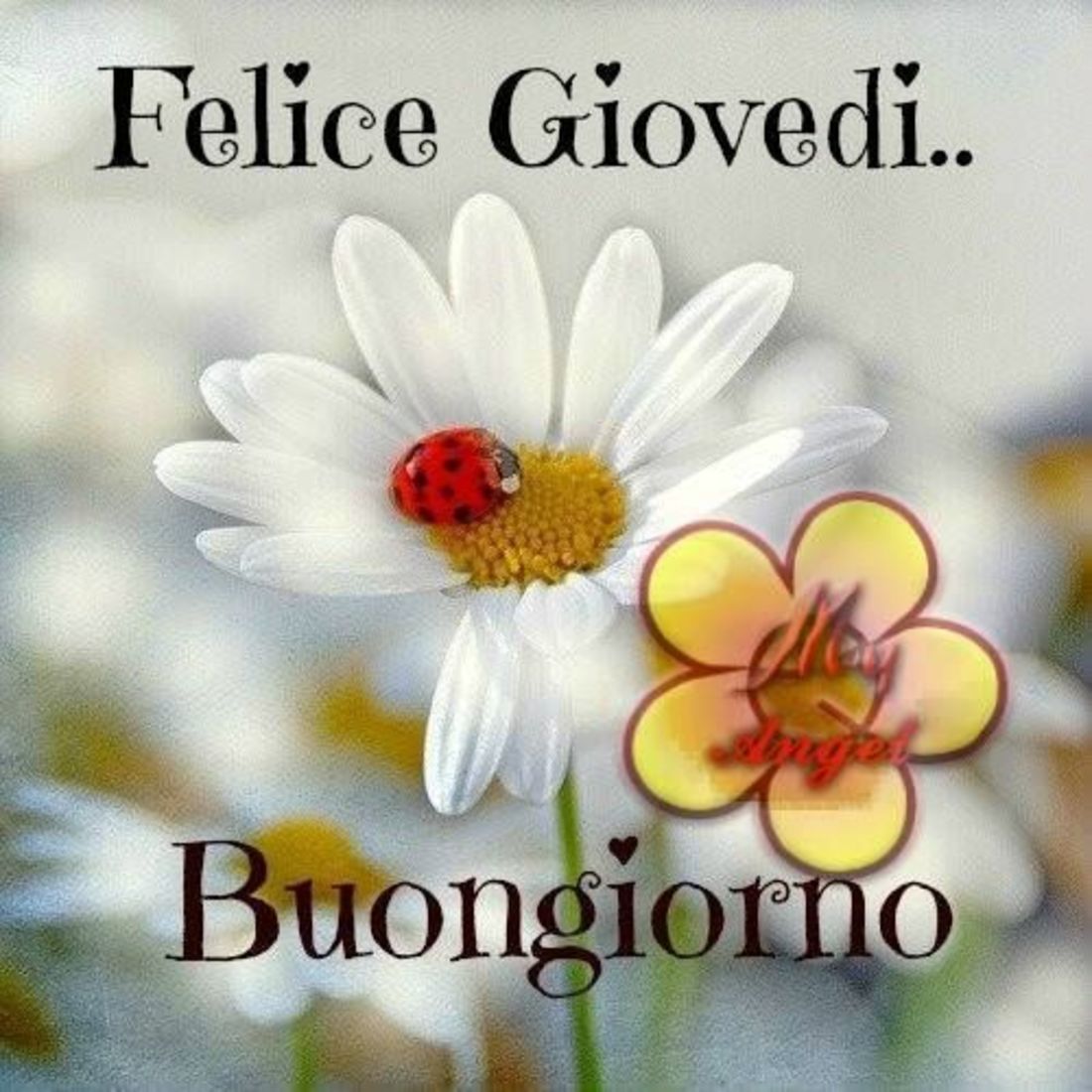 Felice giovedì immagini (4)