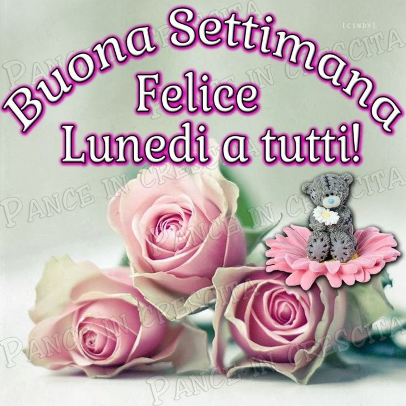 Felice lunedì a tutti