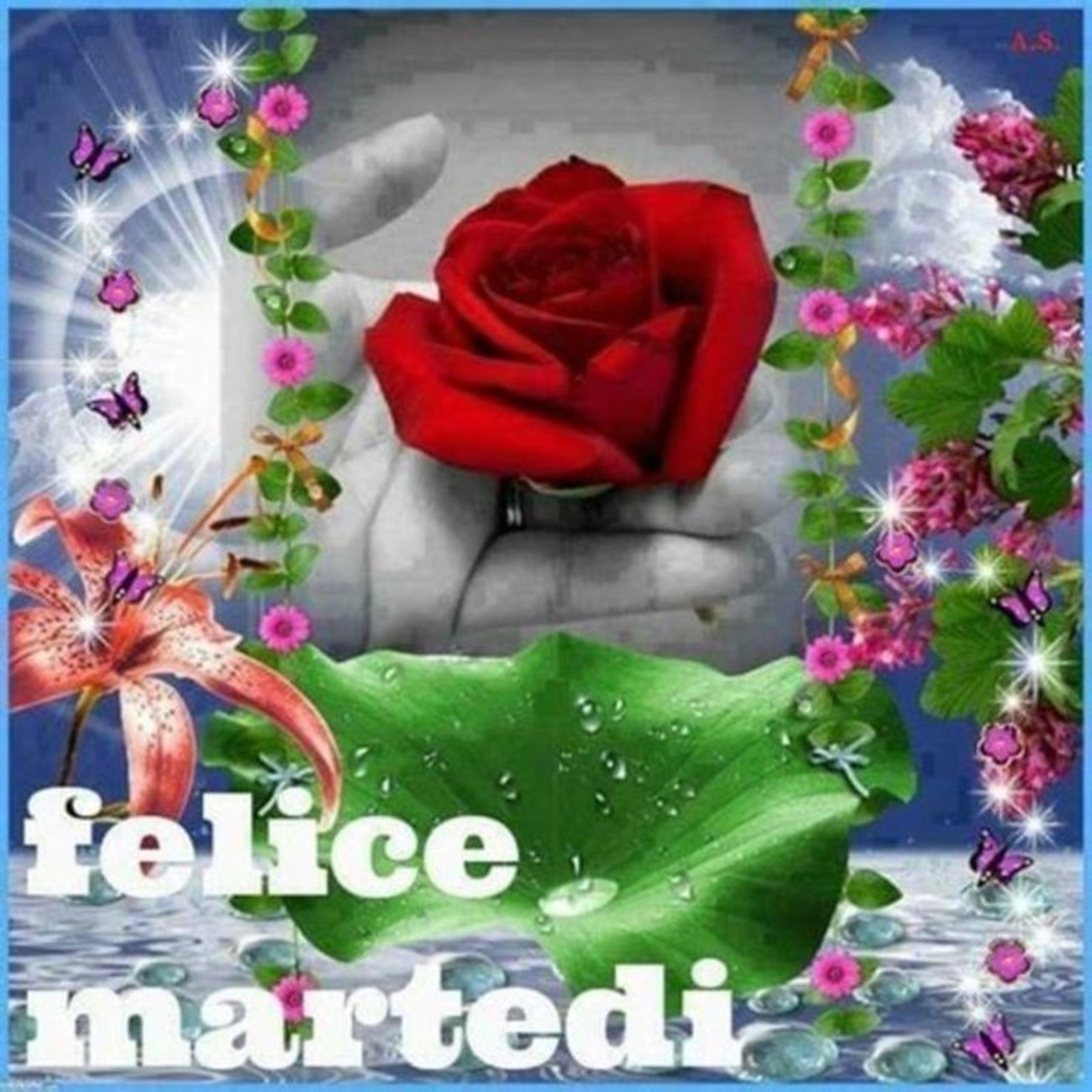 Felice martedì con fiore