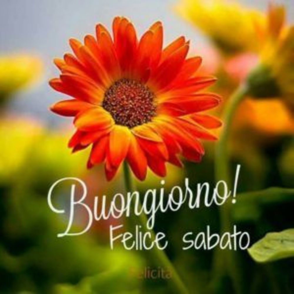 Felice sabato a tutti (2)