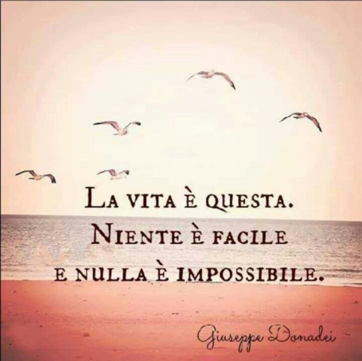 Frasi belle sul mare
