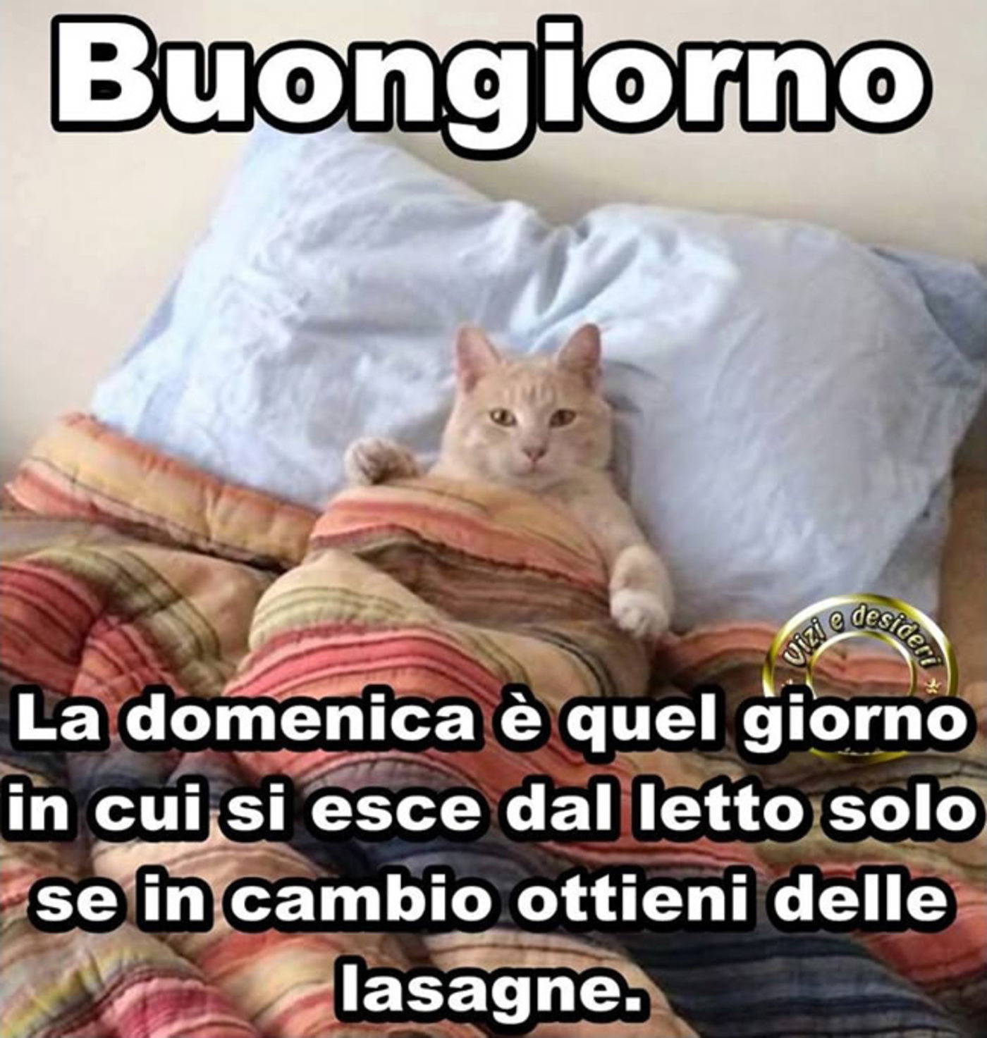 Frasi buona domenica (1)