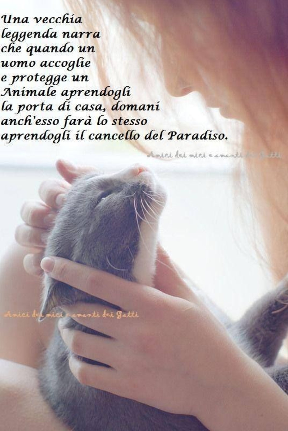 Frasi dolci per gli animali