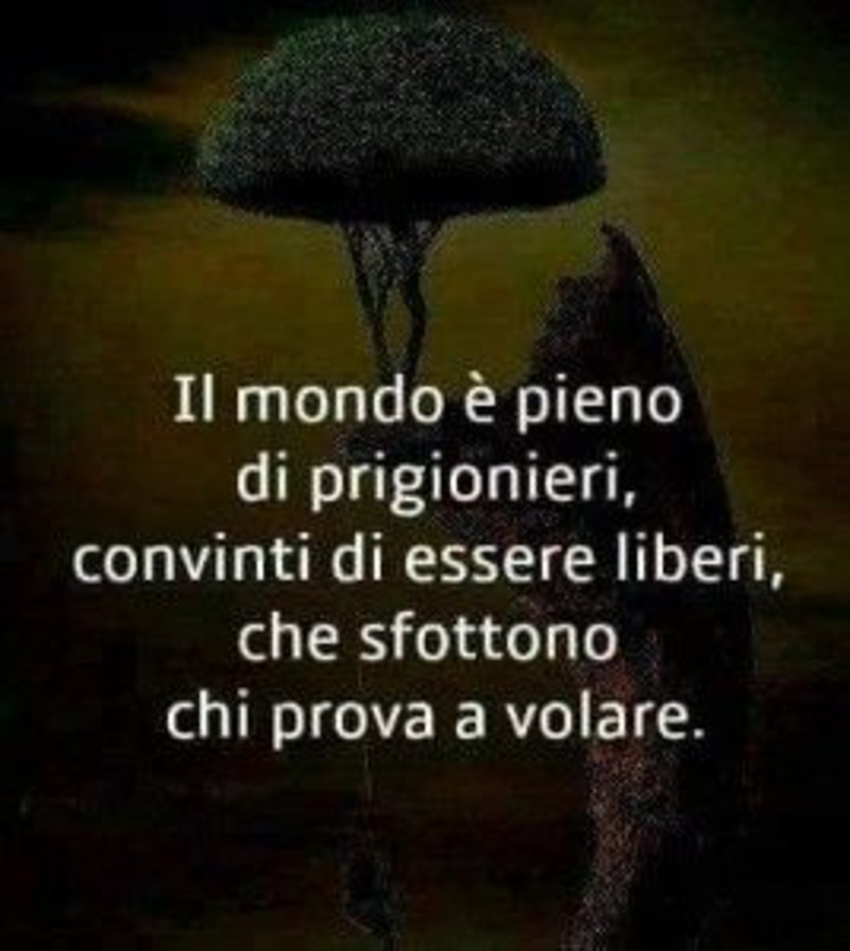 Frasi frecciatine (4)