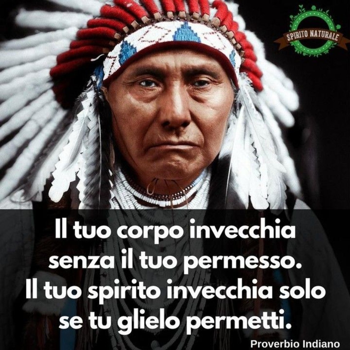 Frasi motivazionali (7)