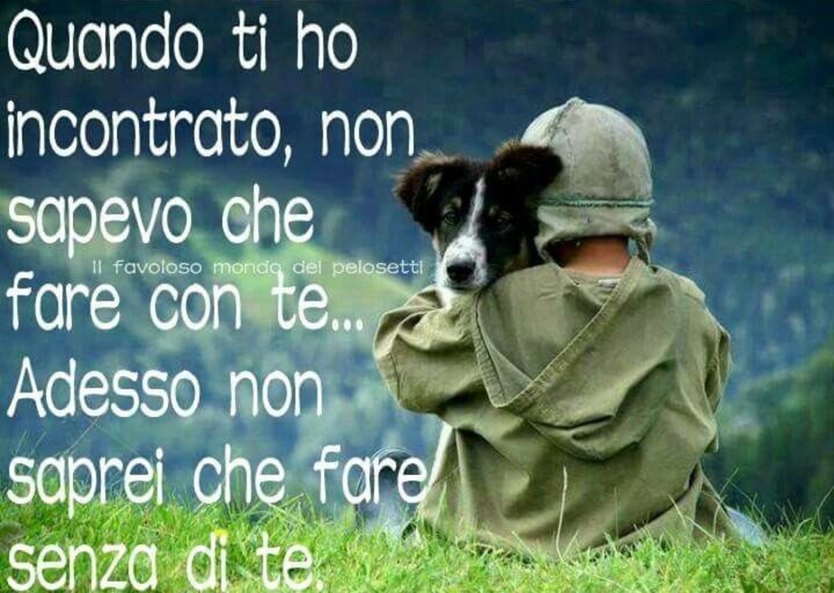 Frasi per i cani