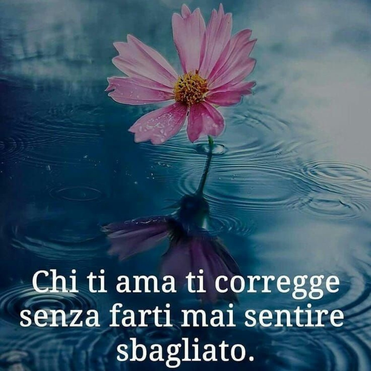 Frasi sagge (5)