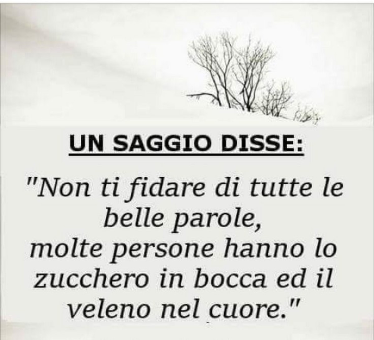 Frasi sagge