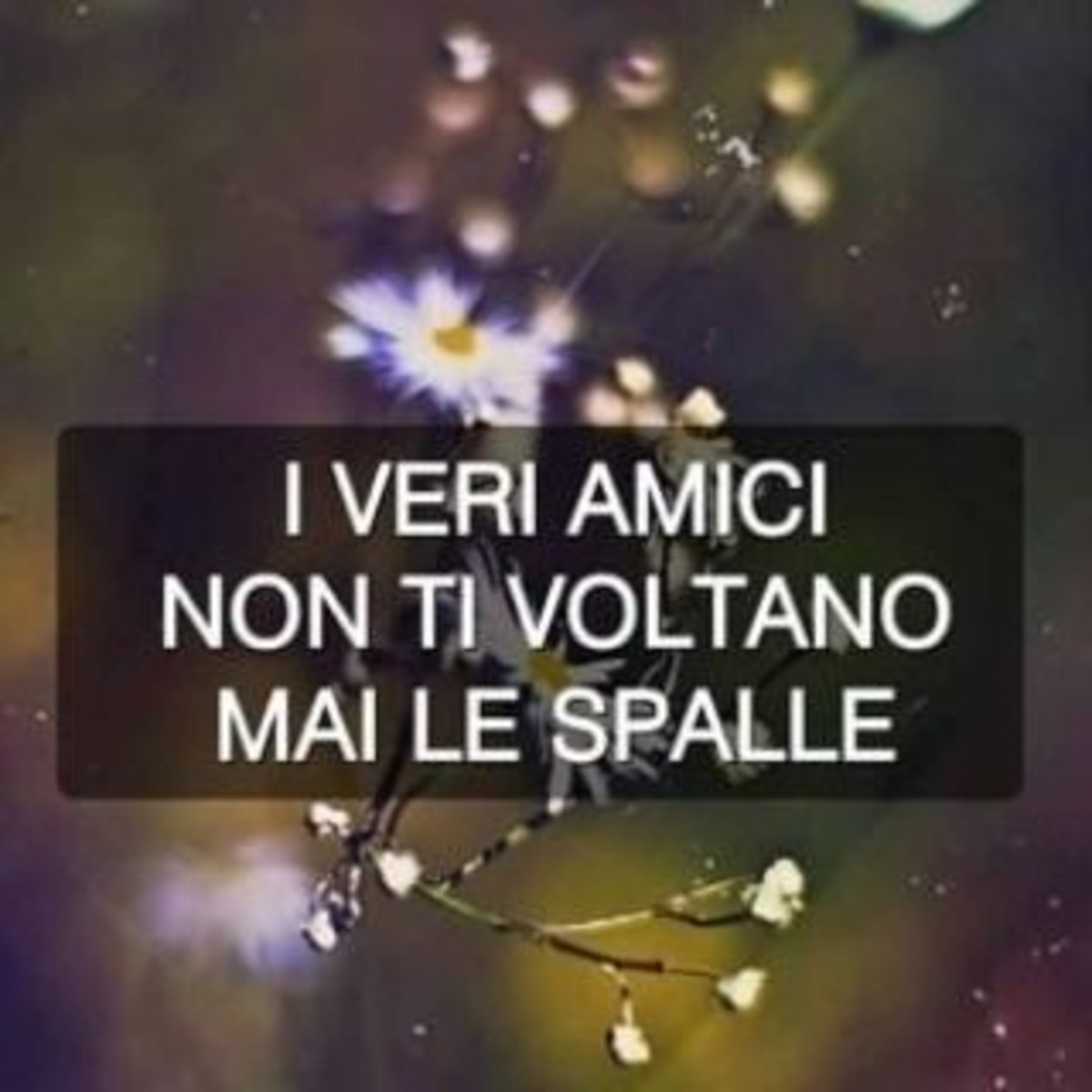 Frasi sugli amici