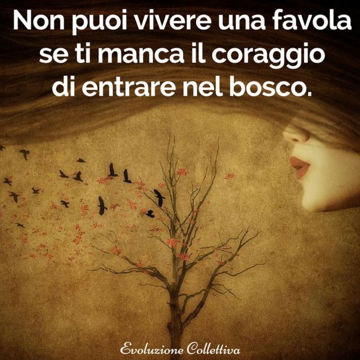 Frasi sul coraggio (3)