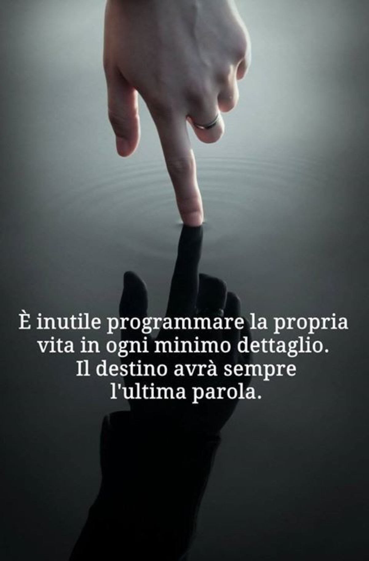 Frasi sul destino (4)