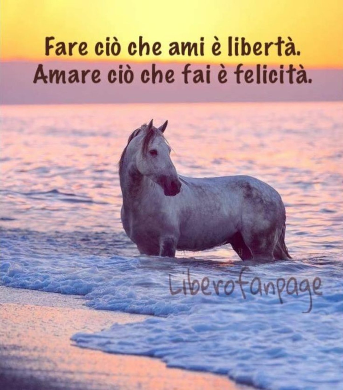 Frasi sulla felicità (2)