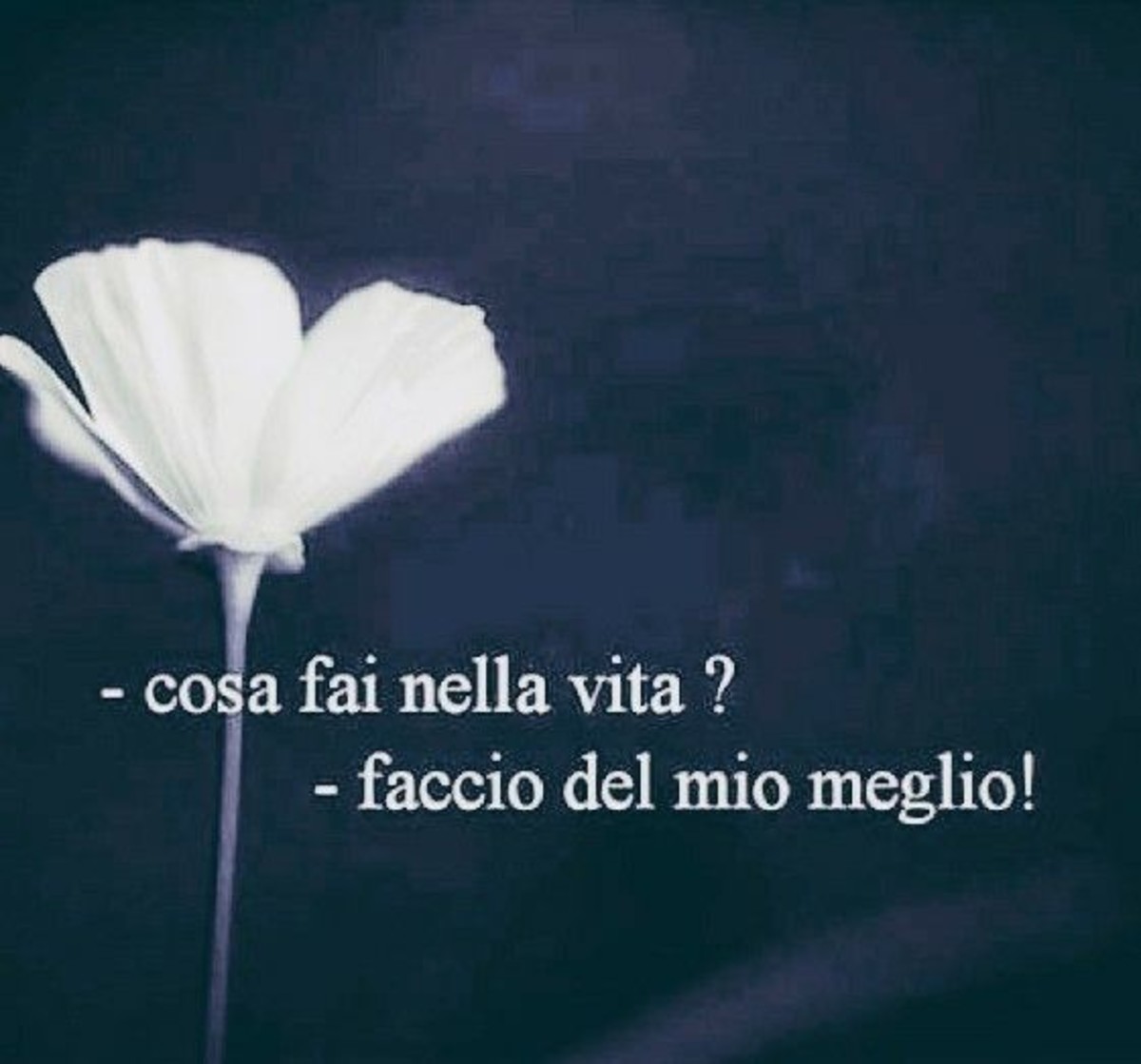 Frasi Sulla Vita 6 Buongiornoate It