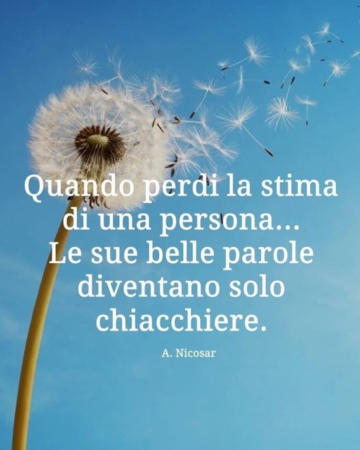 Frasi sull'amicizia (1)