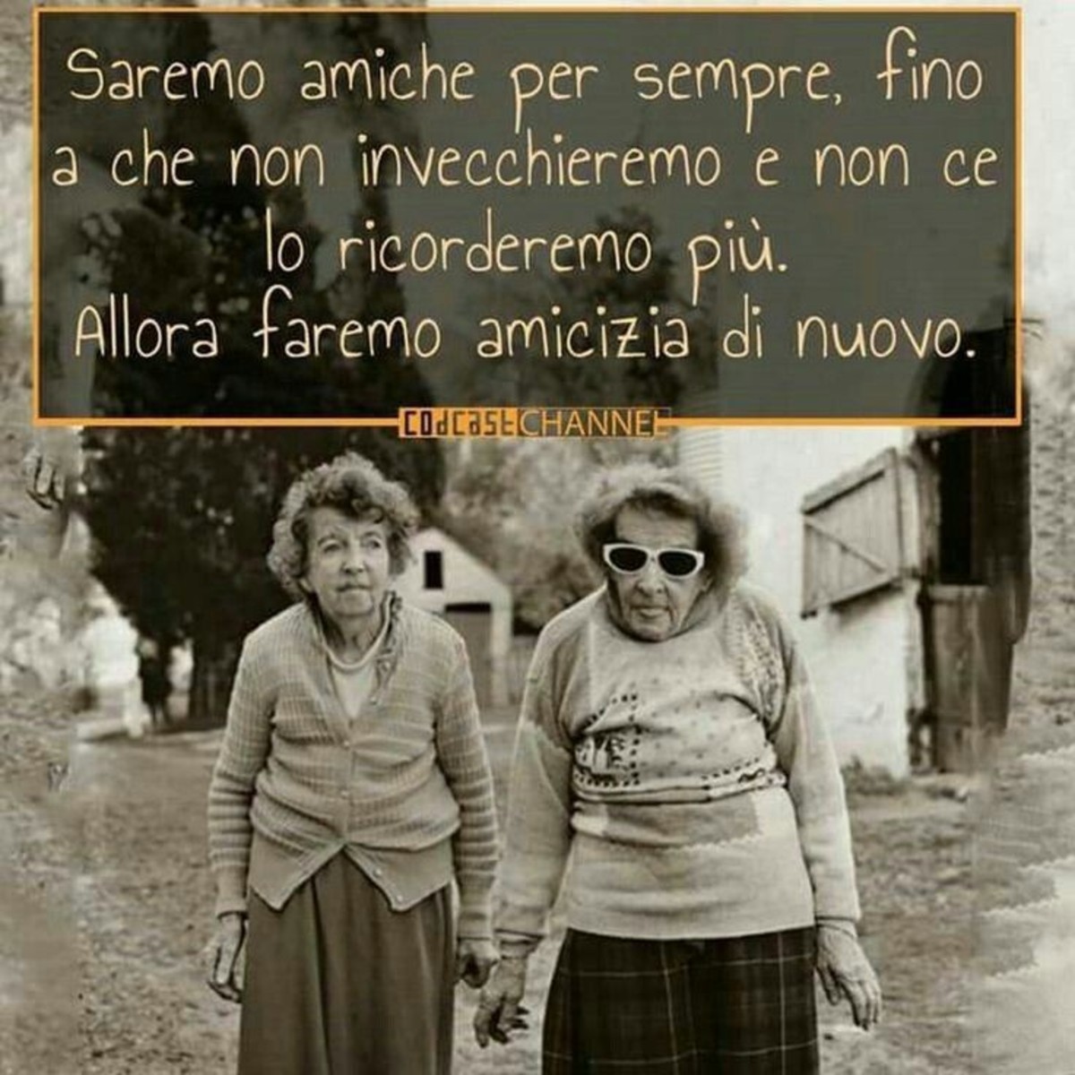 Frasi sull'amicizia (11)