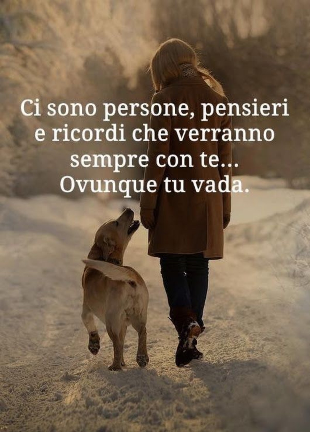 Frasi sull'amicizia (5)