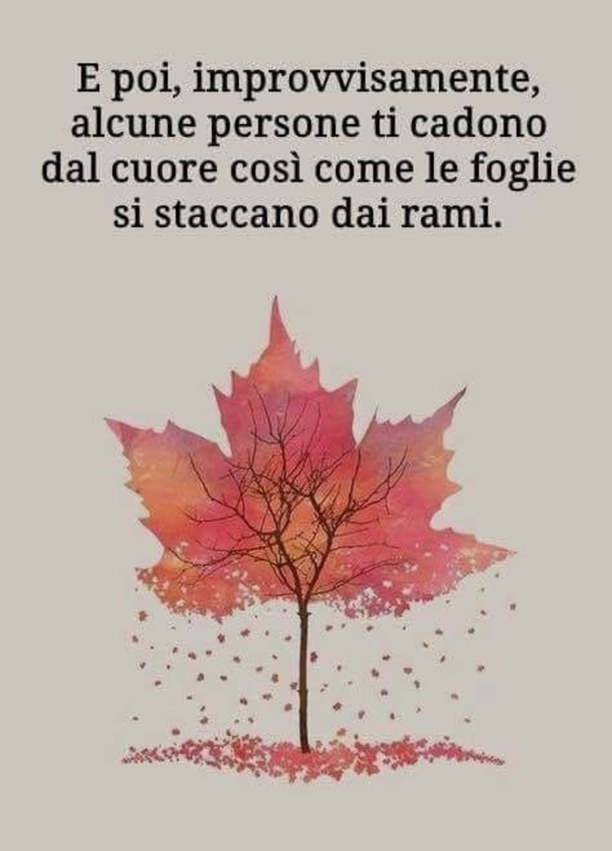 Frasi sull'amicizia (7)