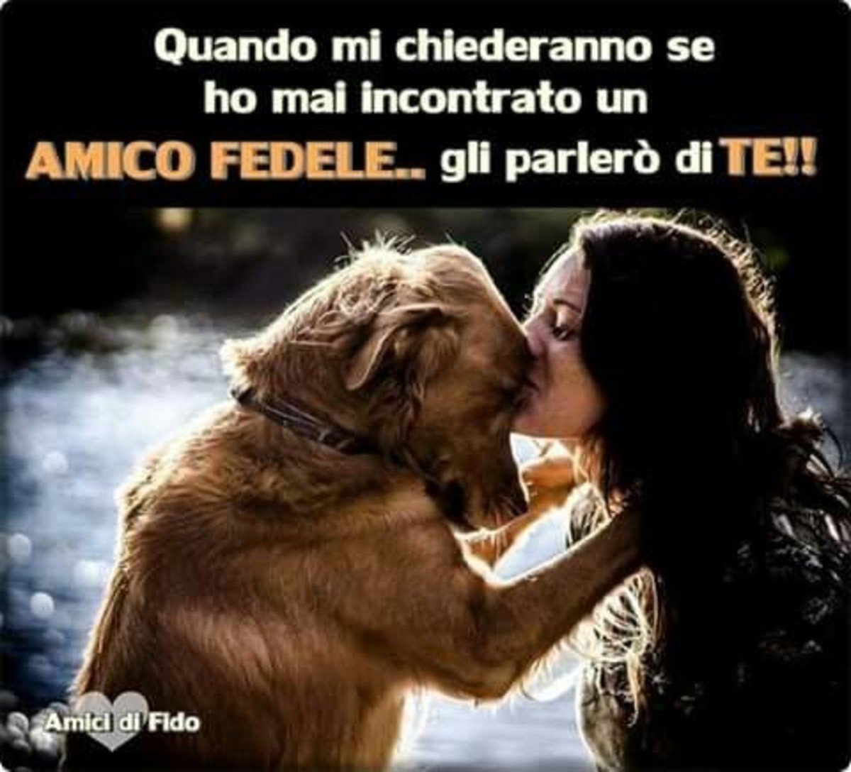 Frasi sull'amicizia (8)