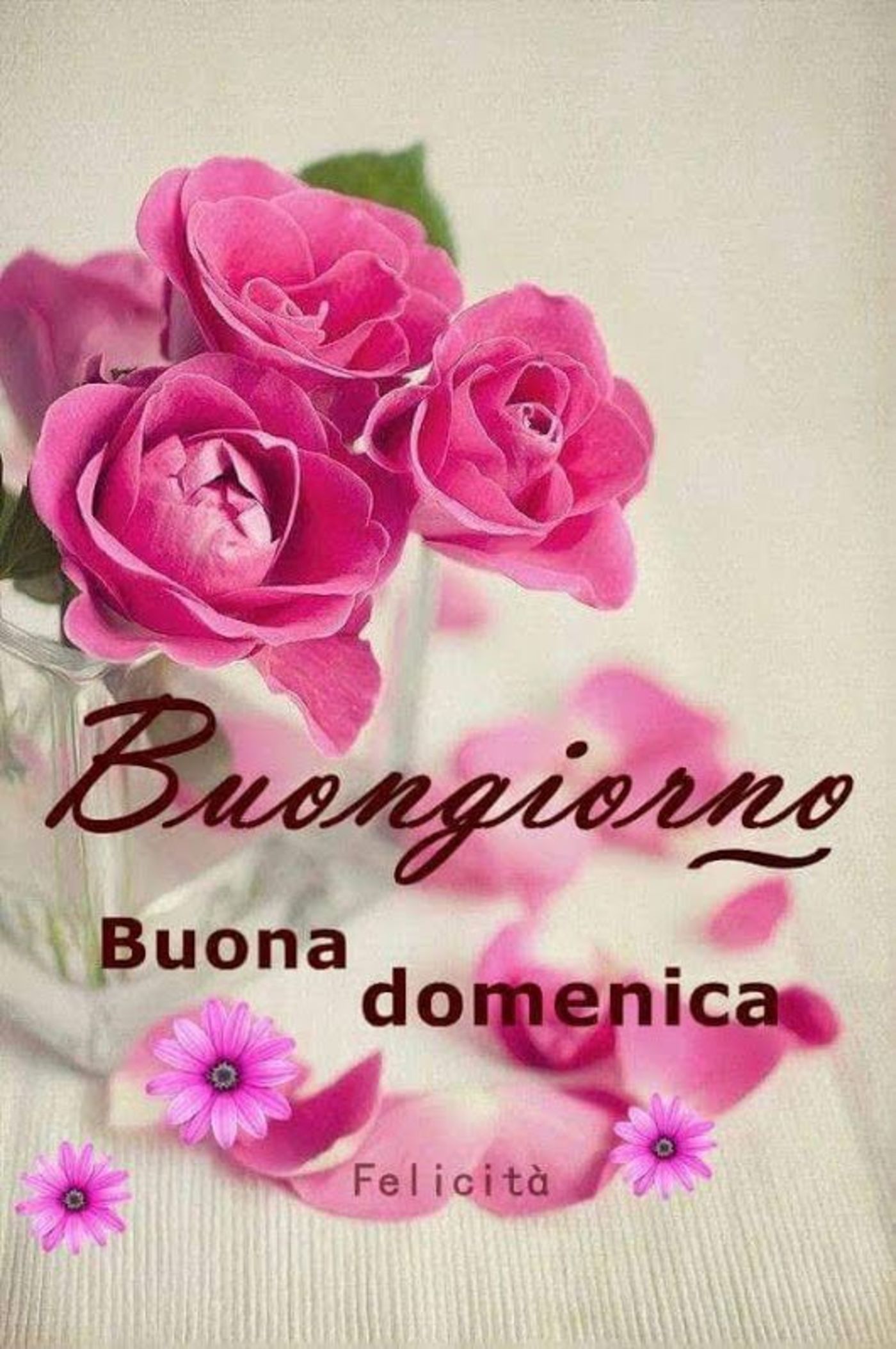 Immagini nuove buona domenica gratis (4)