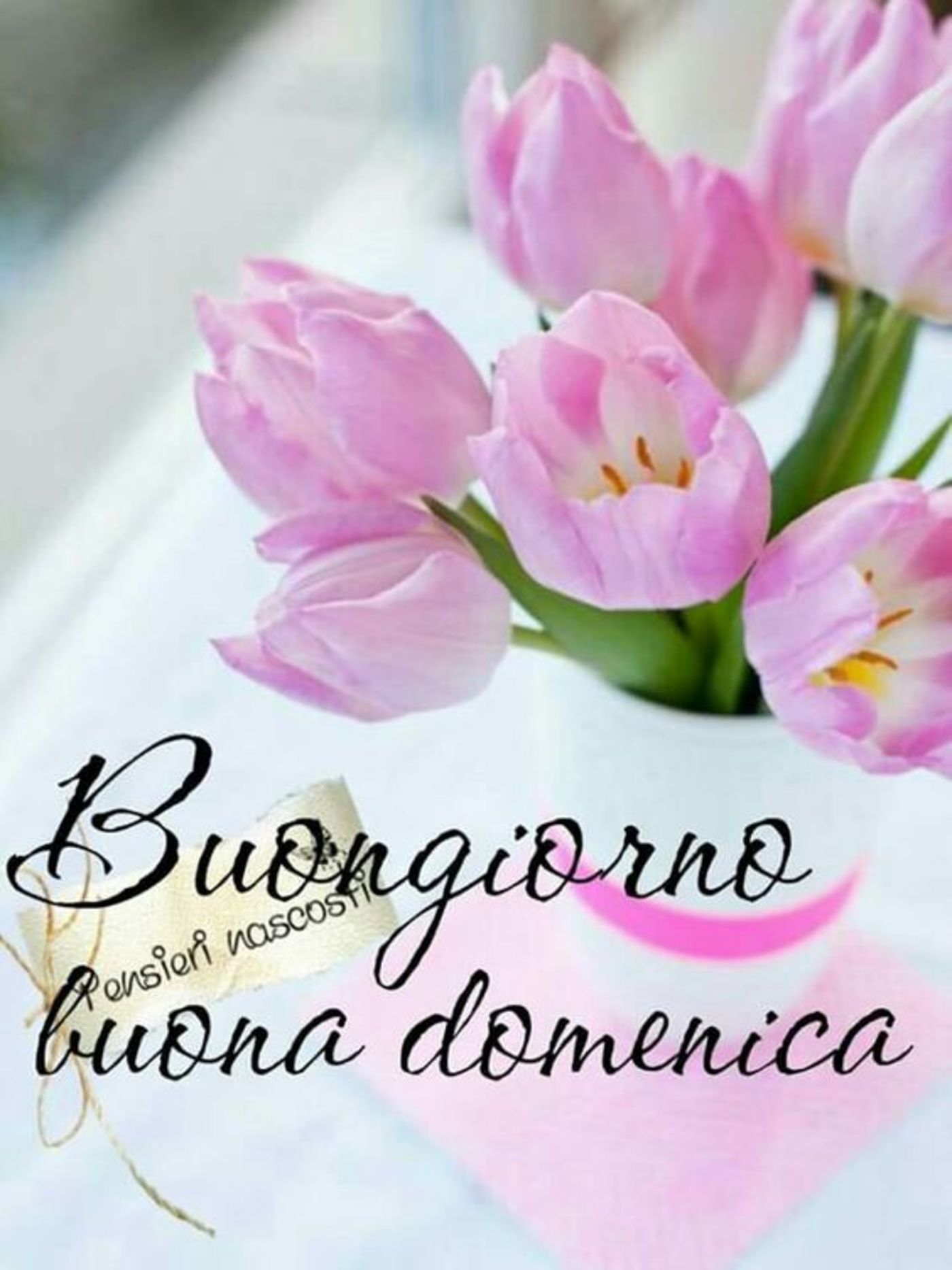 Immagini nuove buona domenica gratis (7)