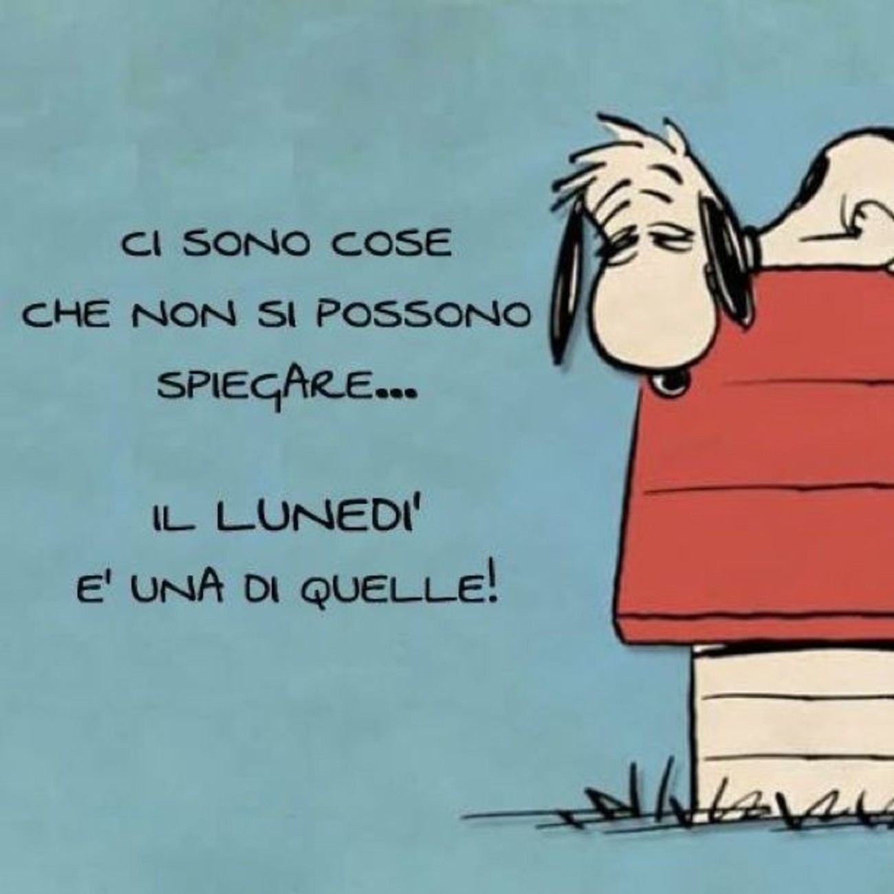 Lunedì con Snoopy