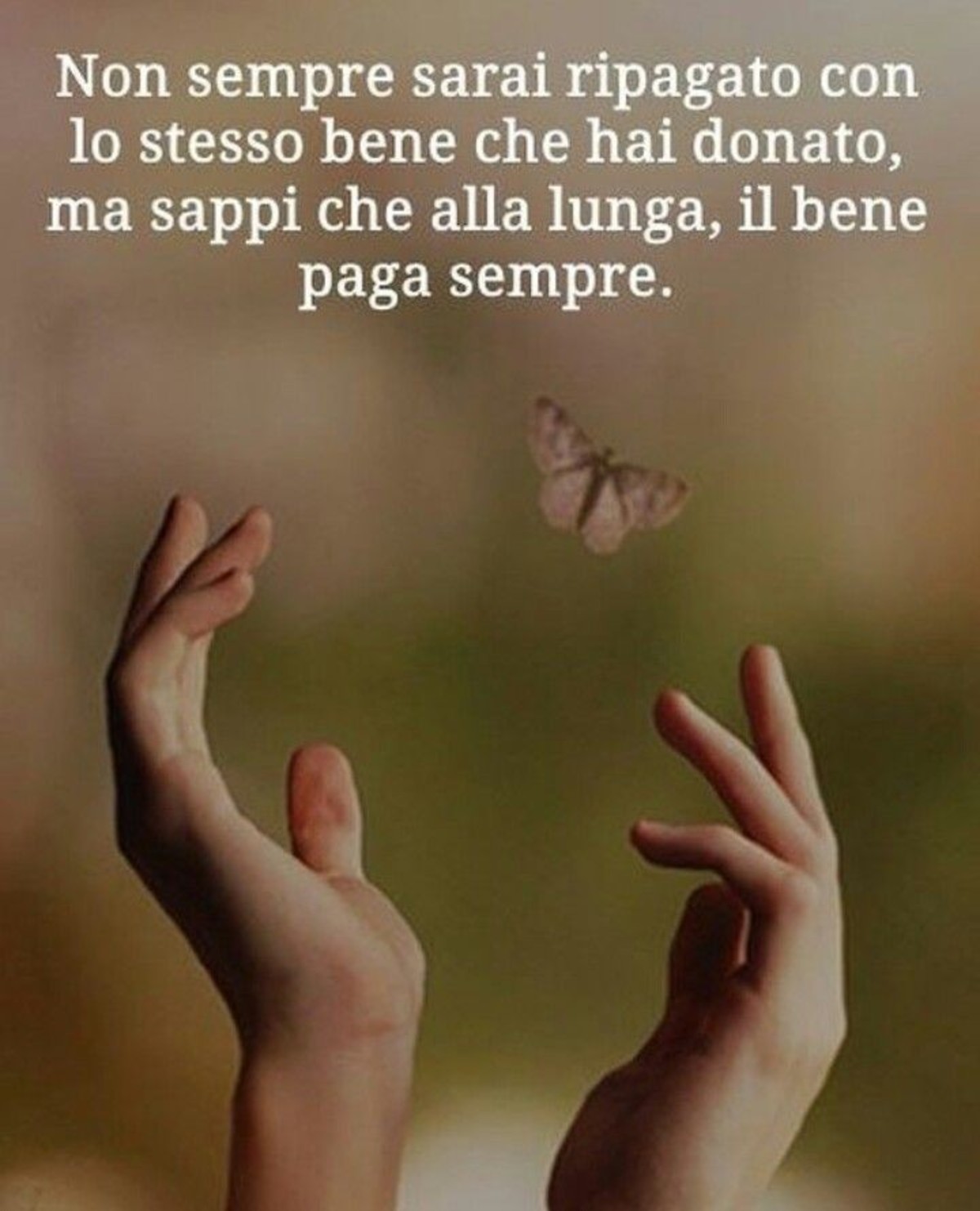 Sagge frasi belle (14)