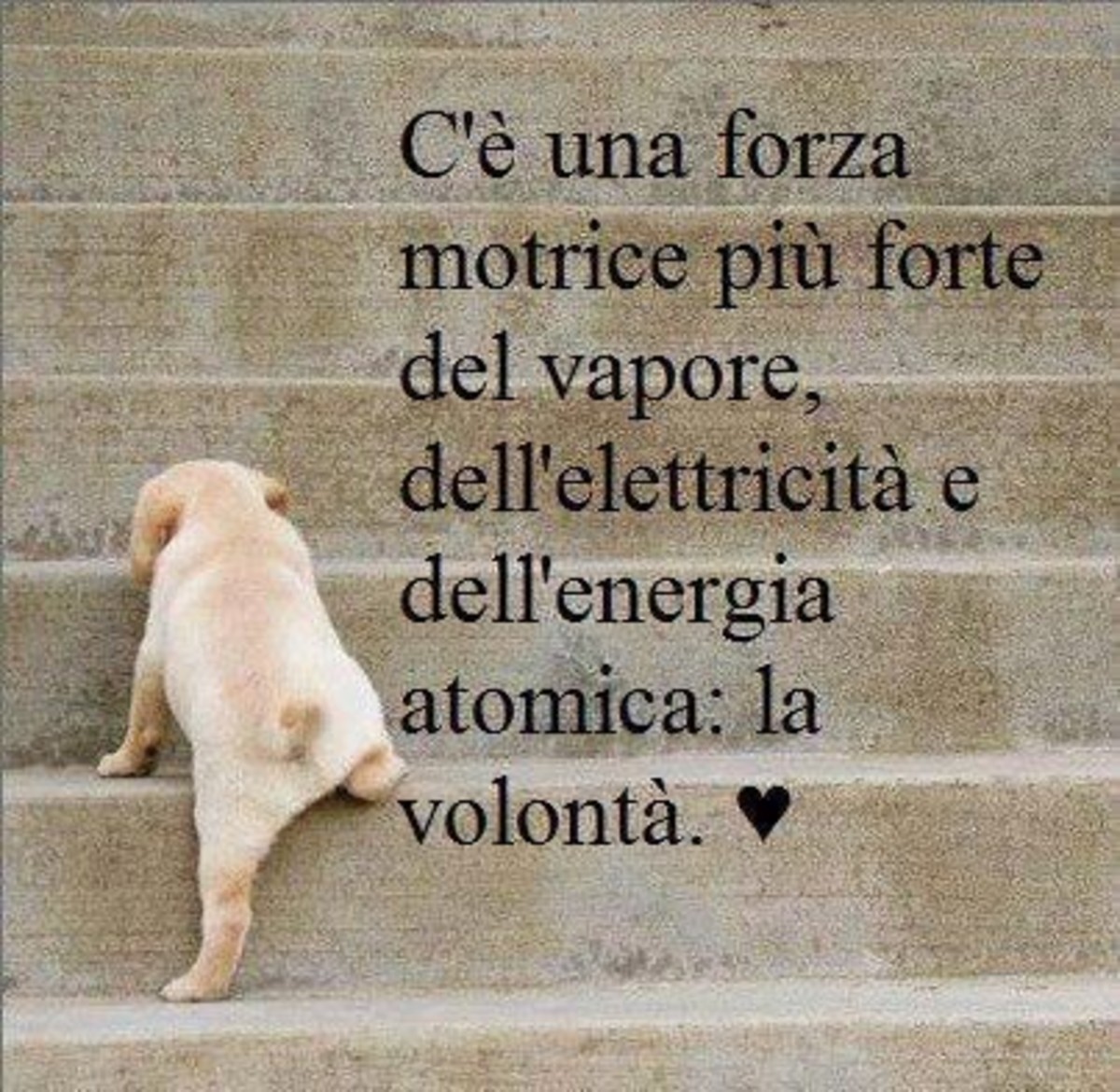 Sagge frasi belle (5)