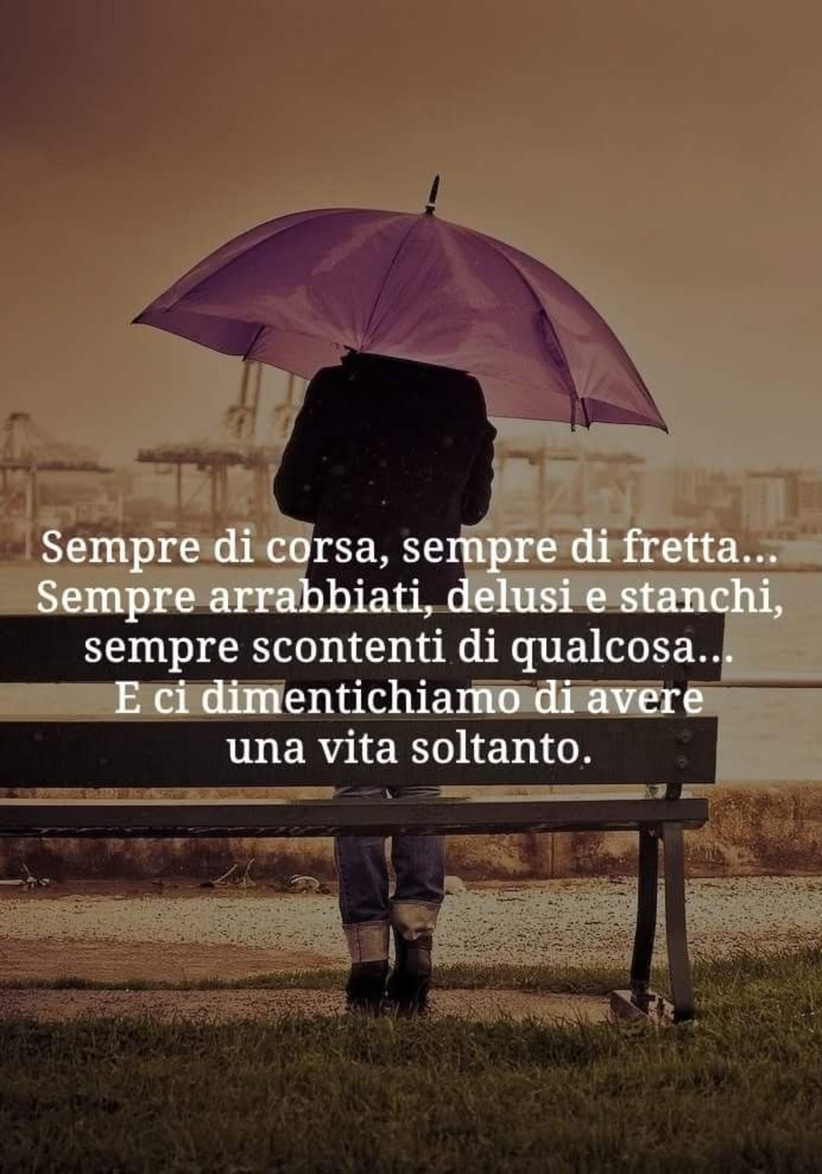 Sagge frasi belle (6)