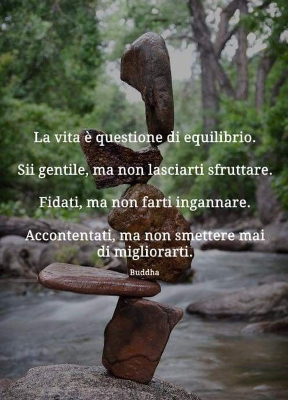 Sagge frasi belle (9)