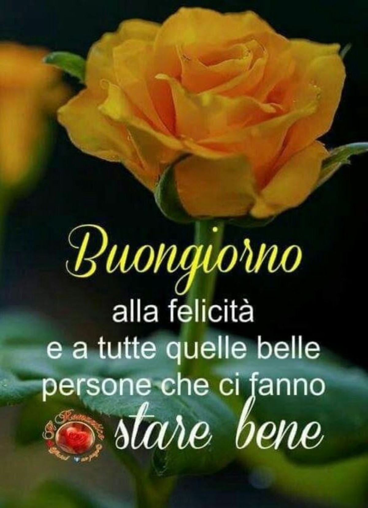 Simpatico buongiorno a tutti (6)