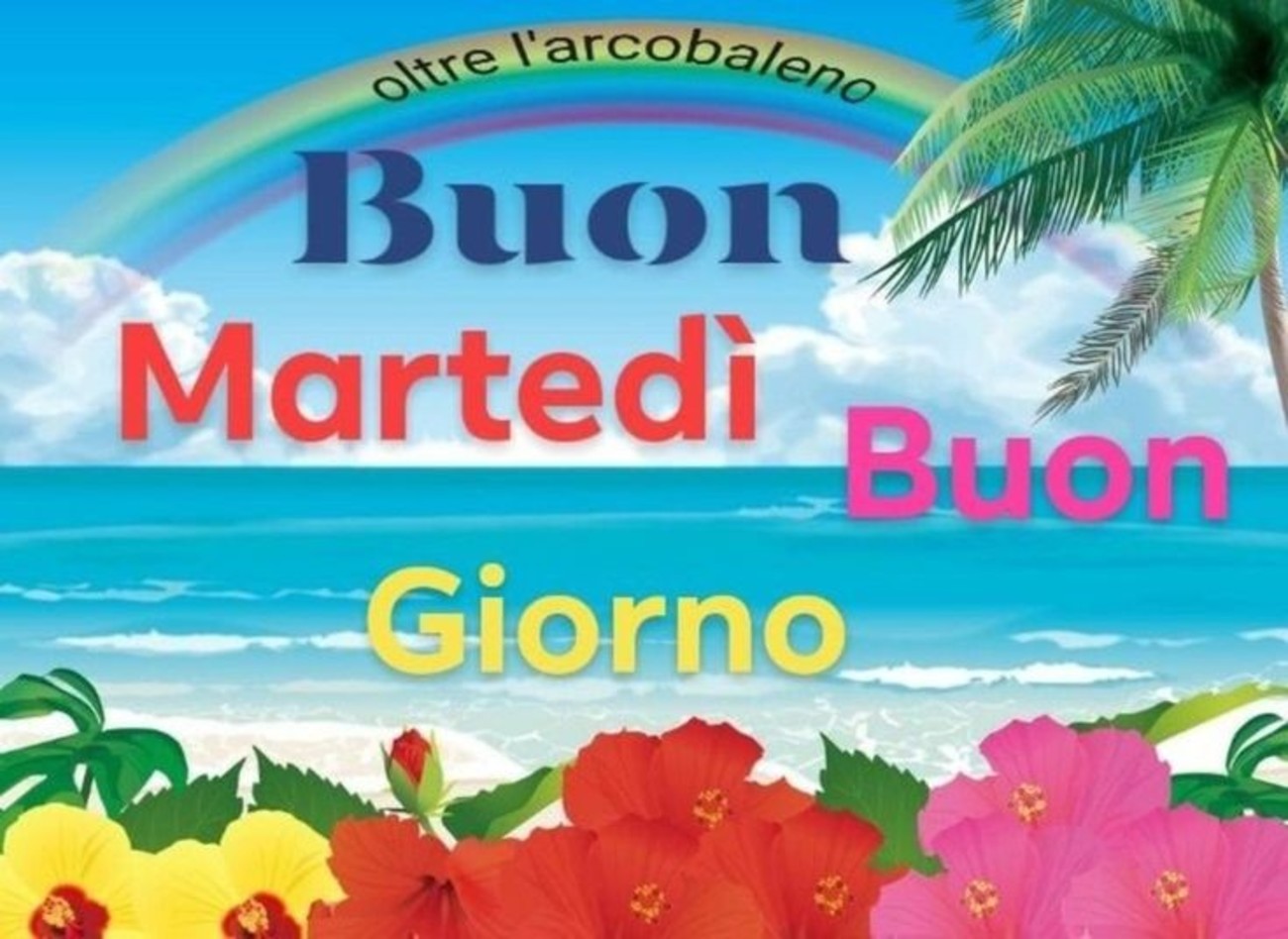 Solare buon martedì