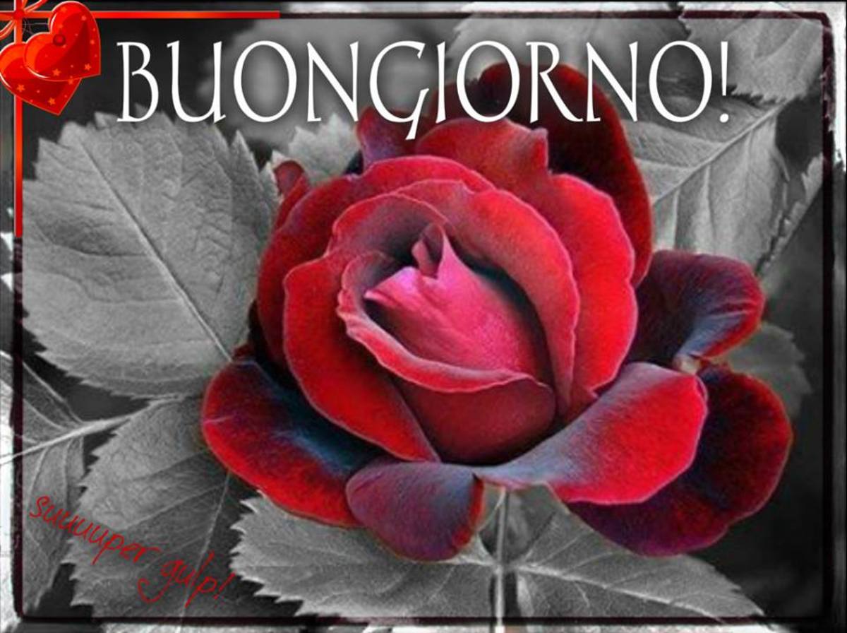 Un felice buongiorno con i fiori