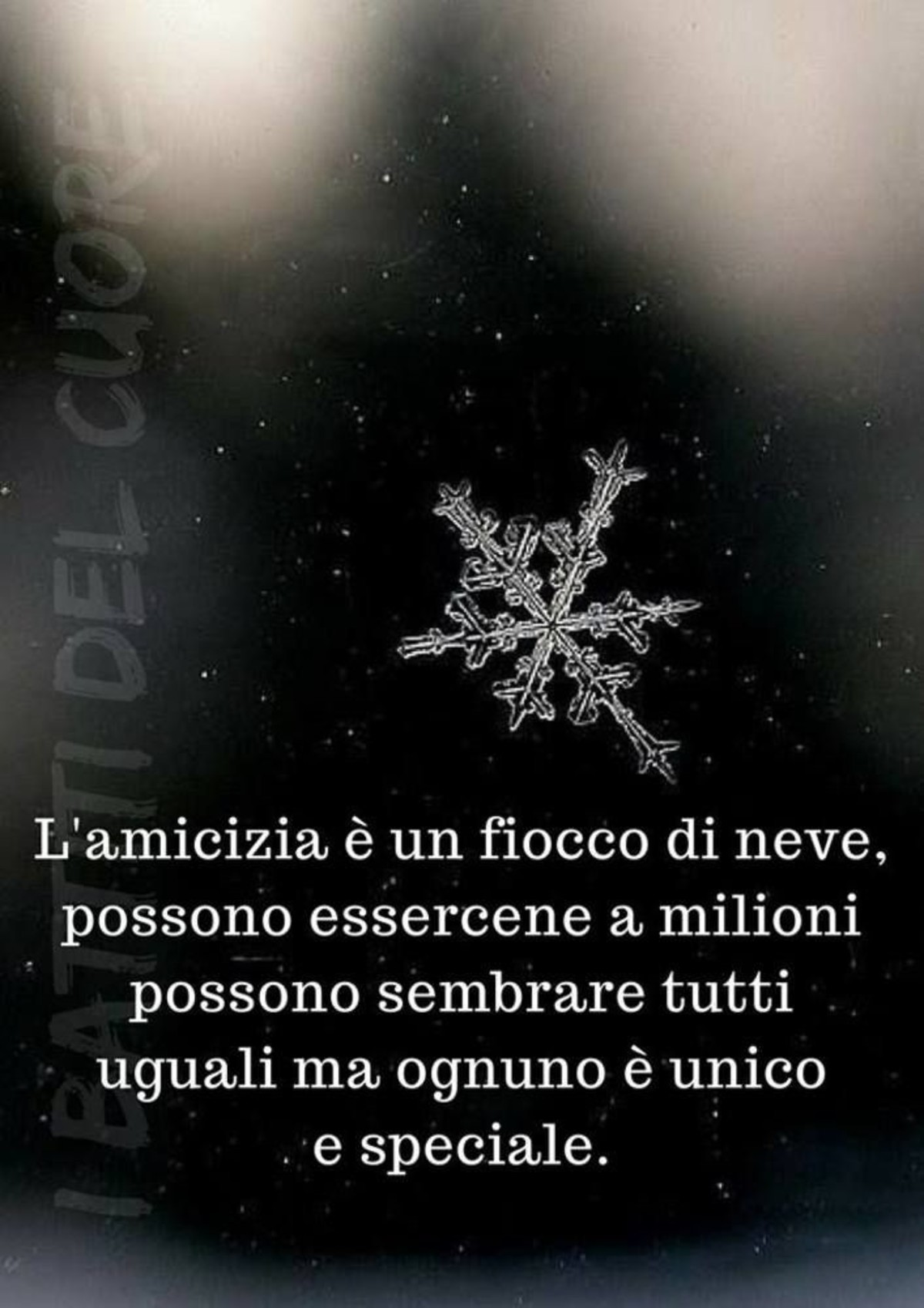 Frasi sull'amicizia (13)