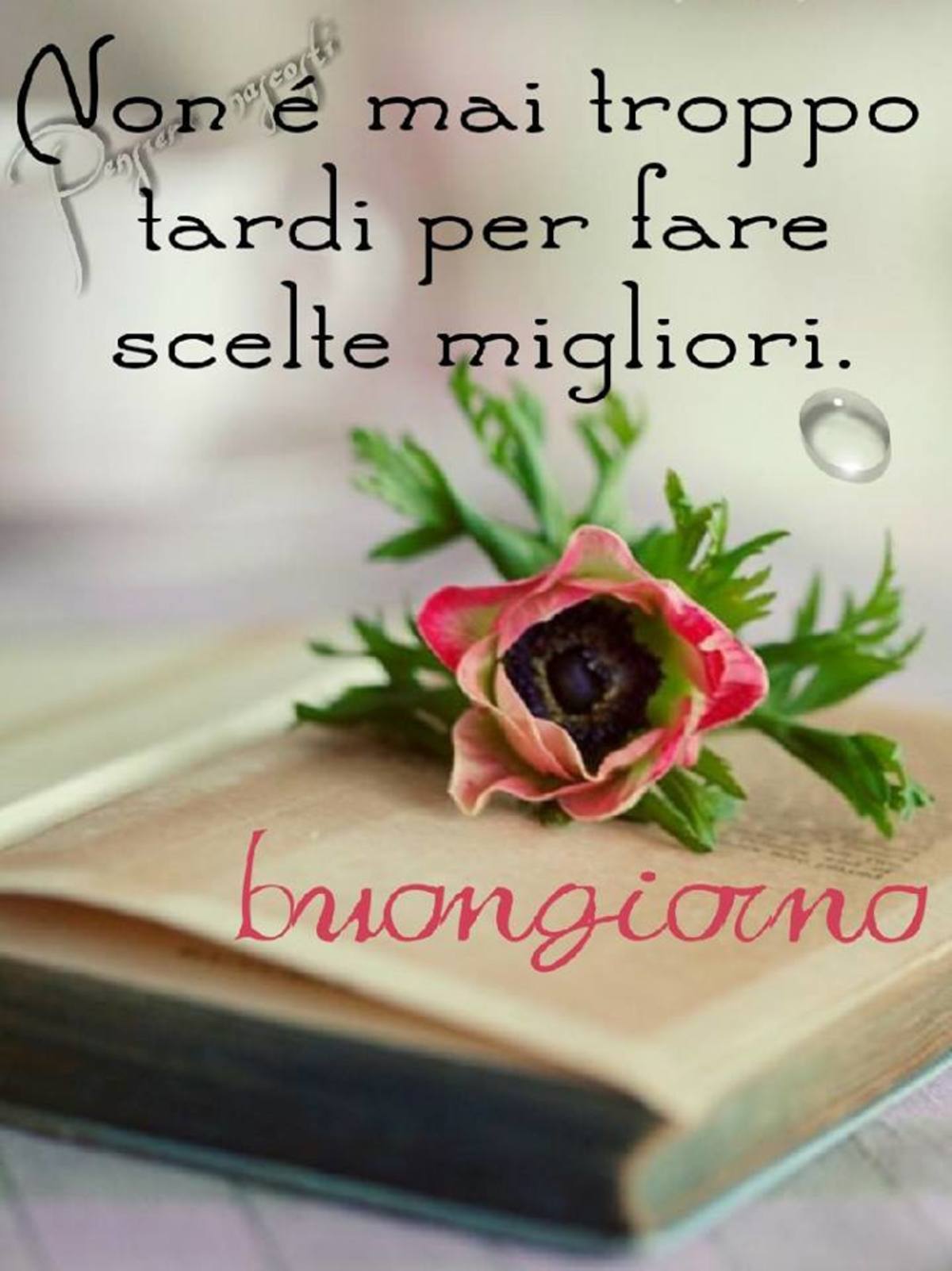 Bel buongiorno con frasi (2)