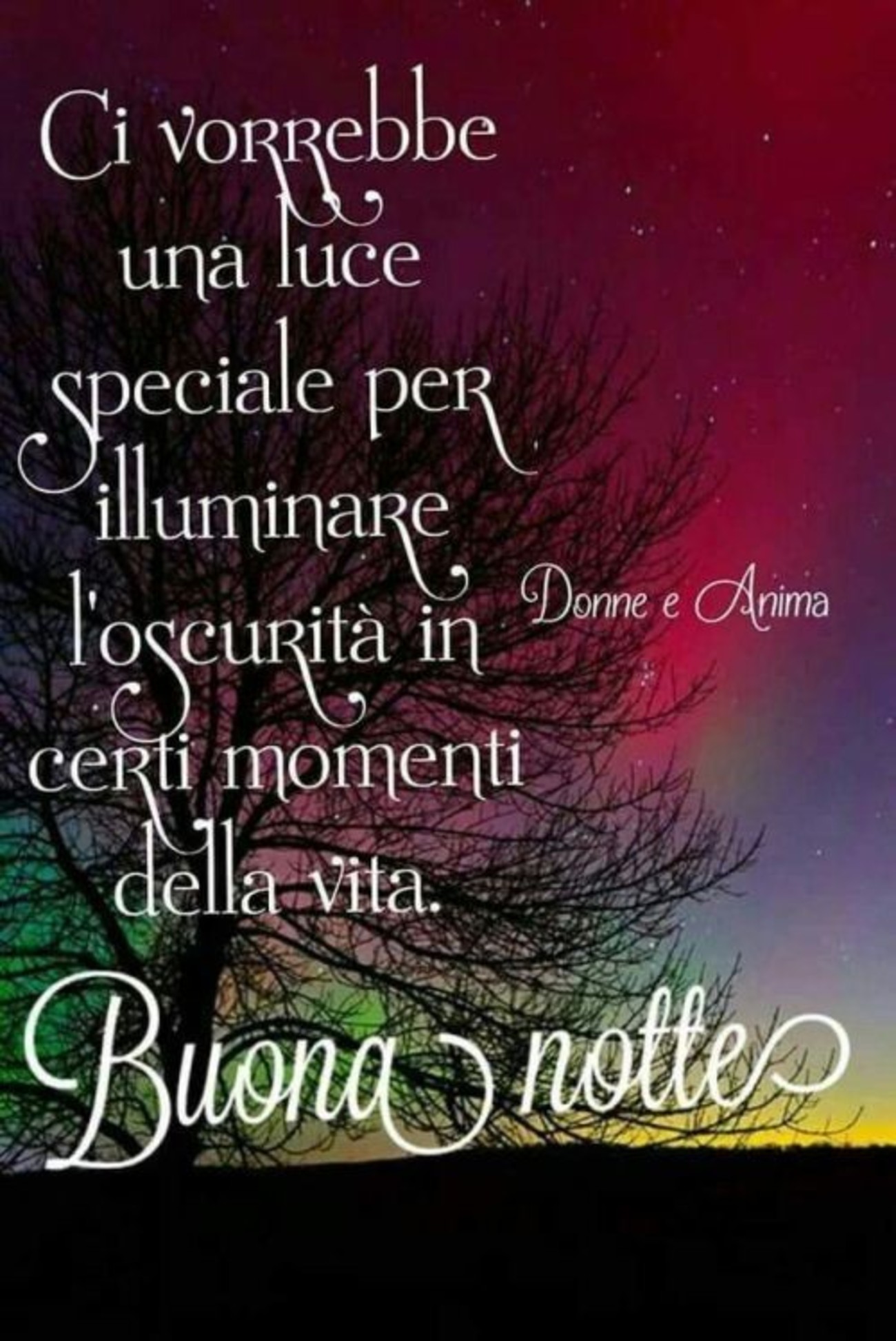 Belle frasi buonanotte immagini