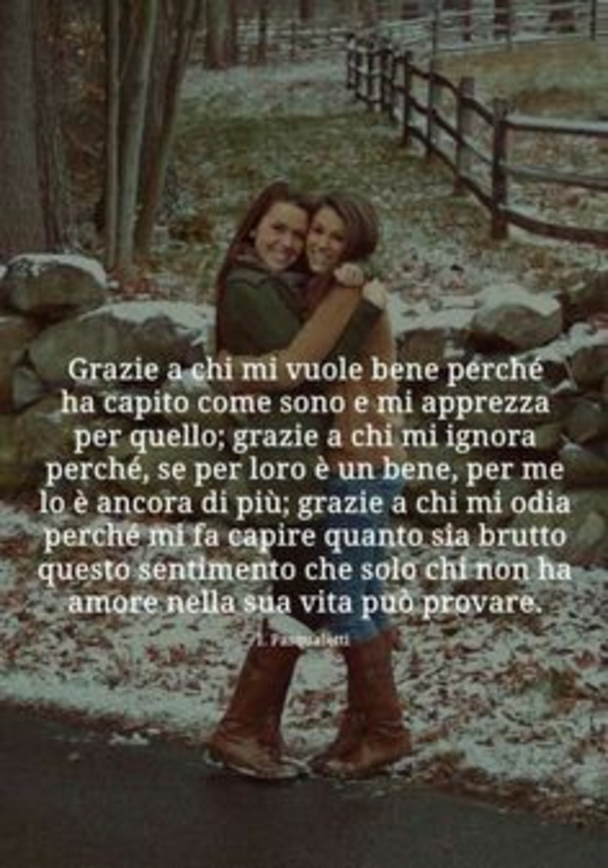 Belle frasi lunghe (1)