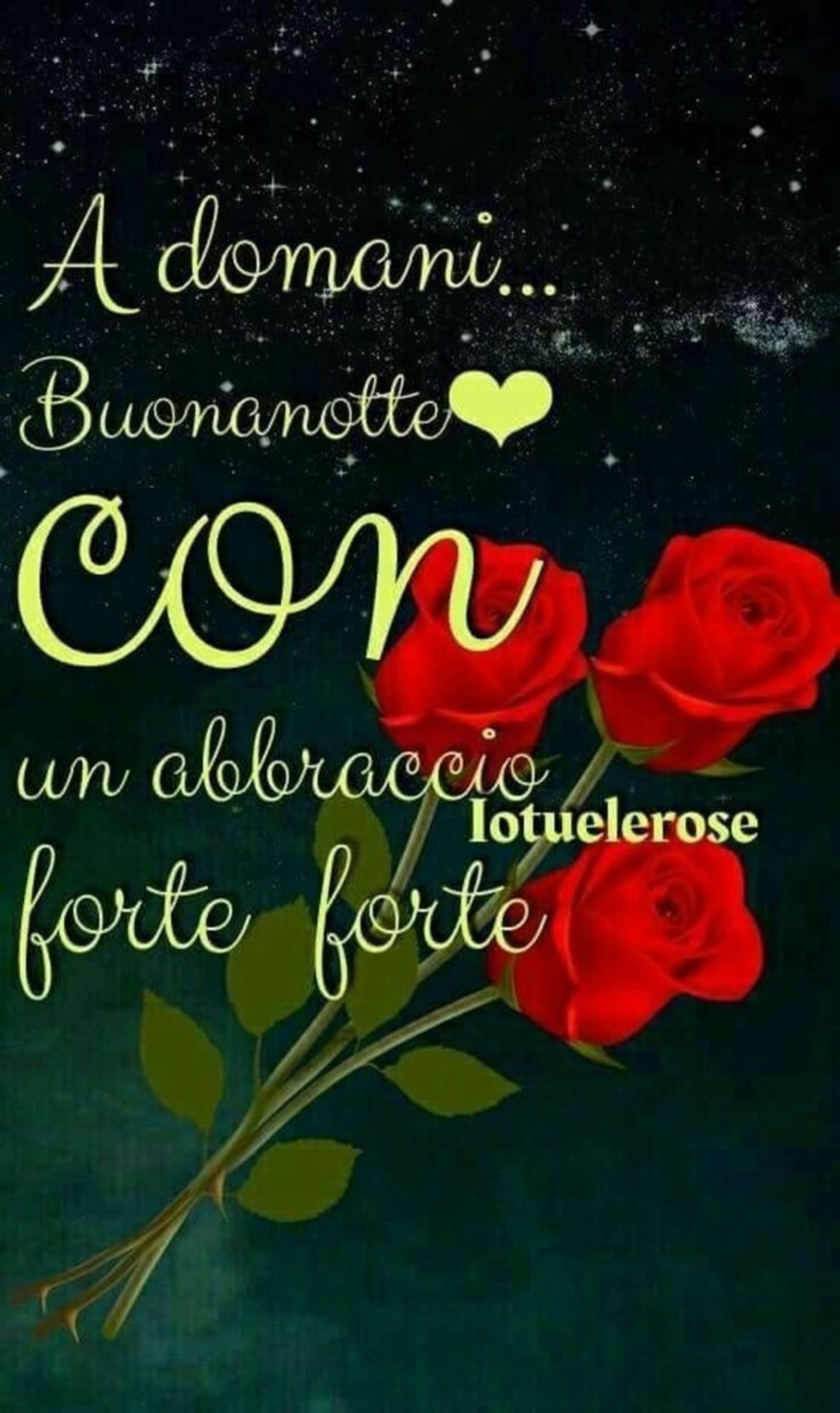Belle immagini buonanotte (2)