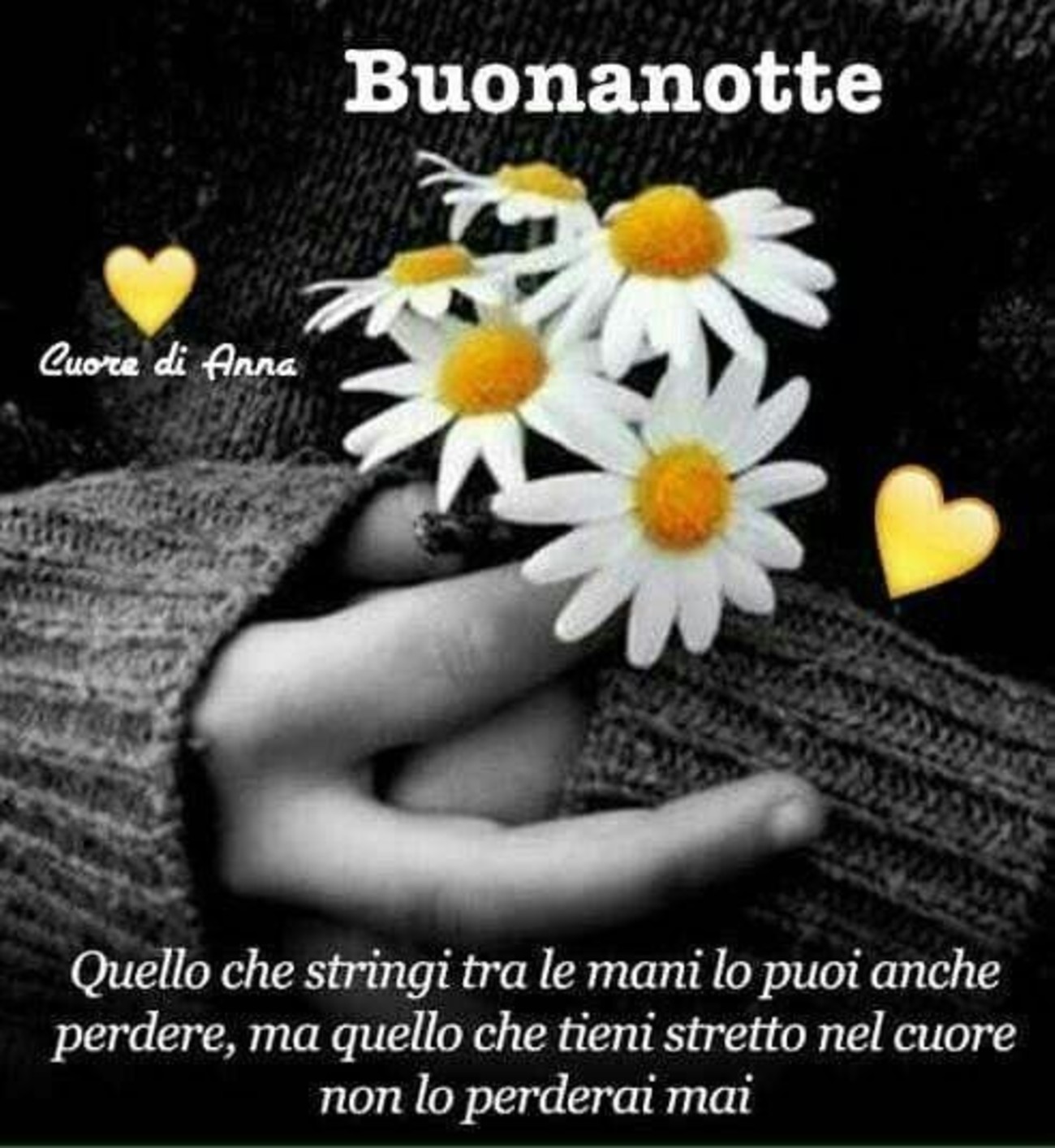 Belle immagini buonanotte con frase