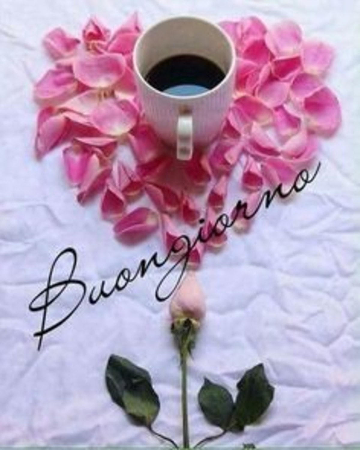 Belle immagini buongiorno per Facebook (2)