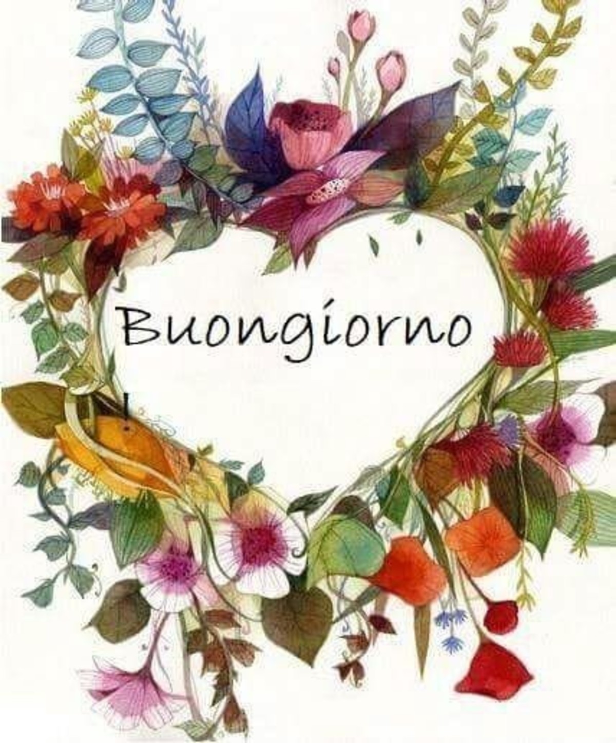 Belle immagini buongiorno