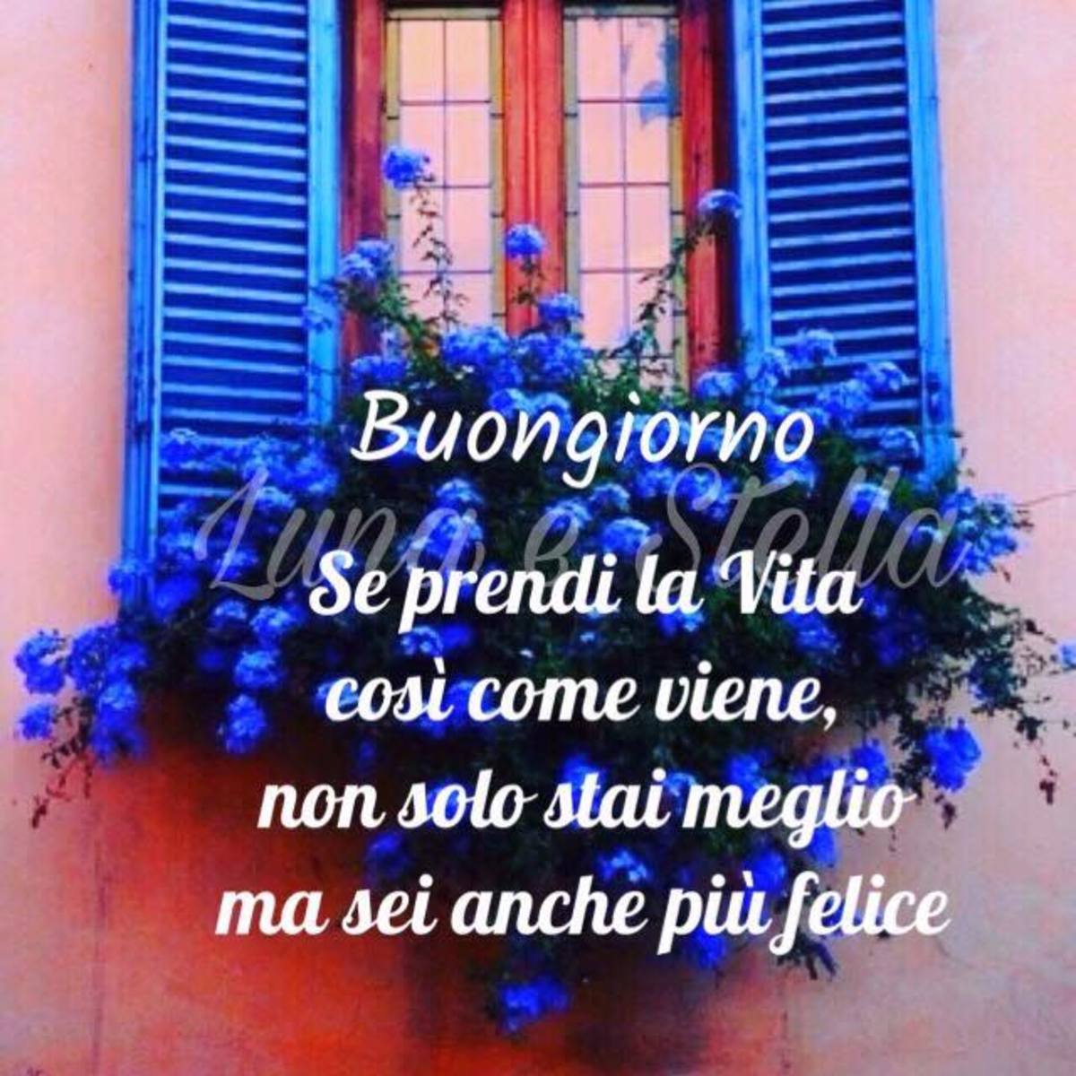 Bellissime frasi buongiorno (3)