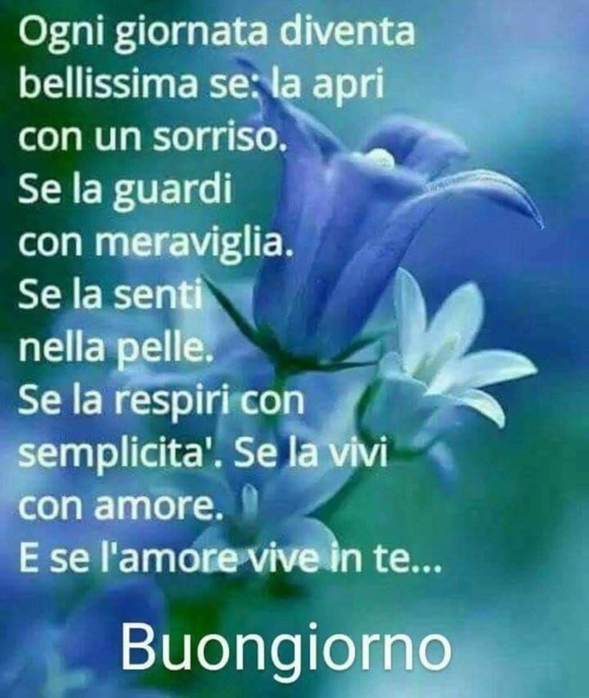 Bellissime frasi del buongiorno