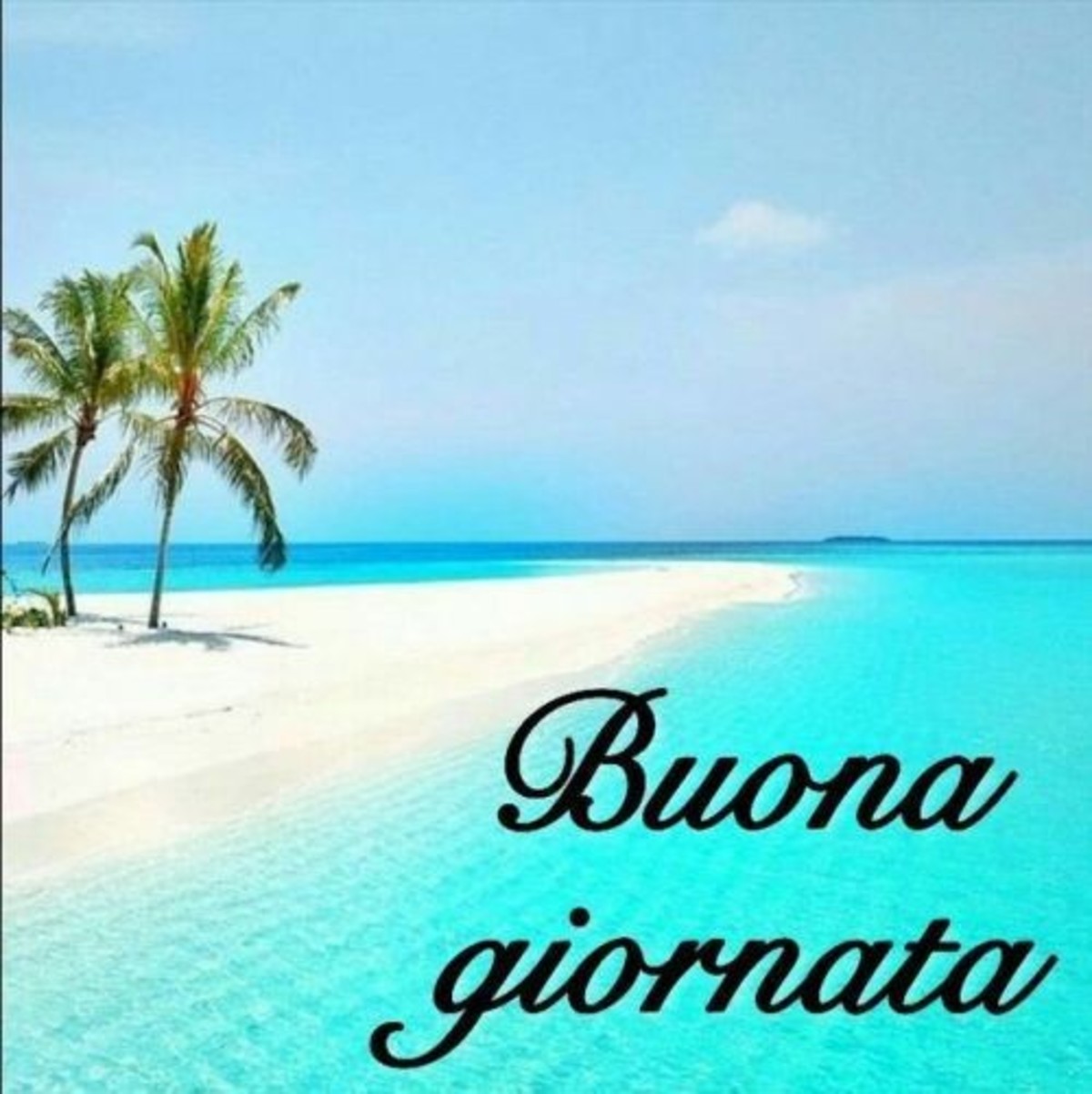 Buona giornata immagini (2)