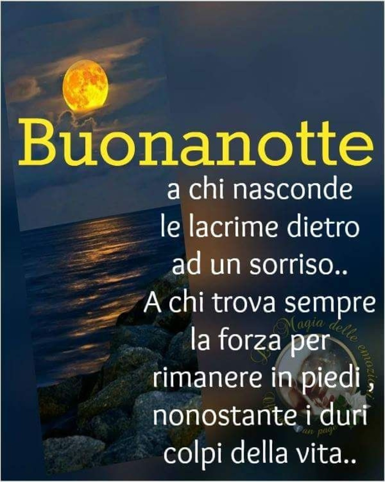 Buonanotte a tutti (4)