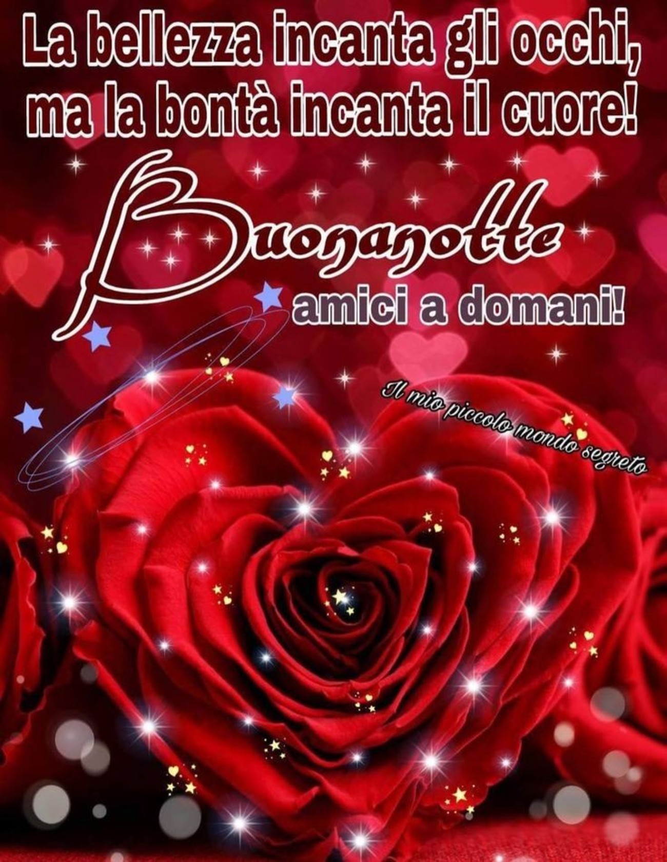 Buonanotte amici a domani