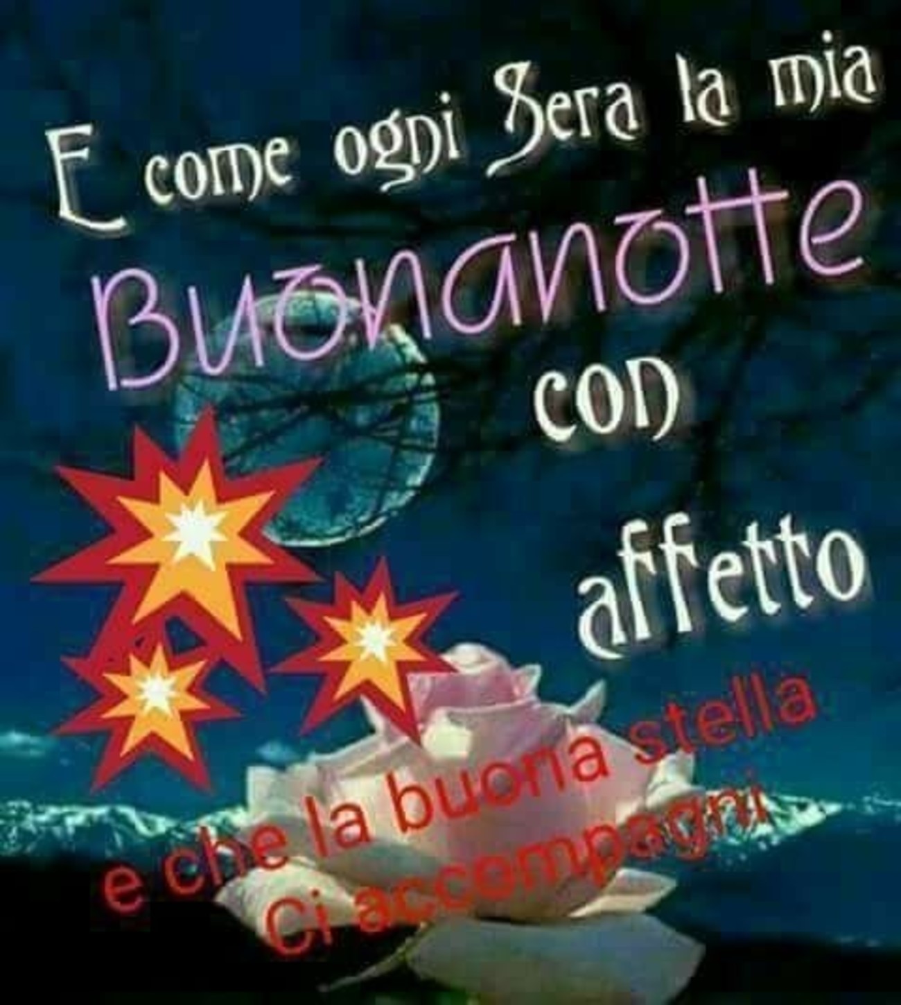 Buonanotte con affetto (2)