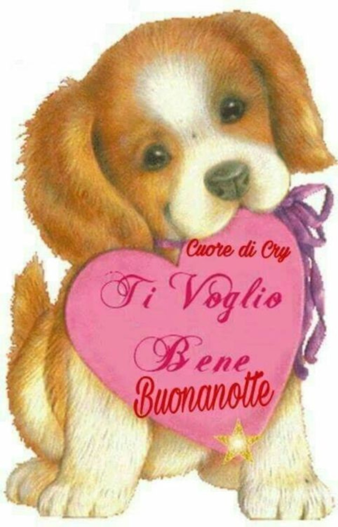 Buonanotte con amore (2)